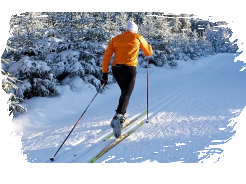 skischule-braunlage-skikurs-langlauf